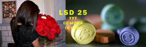 дмт Белокуриха