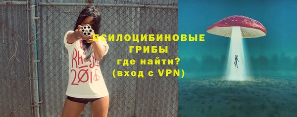 дмт Белокуриха